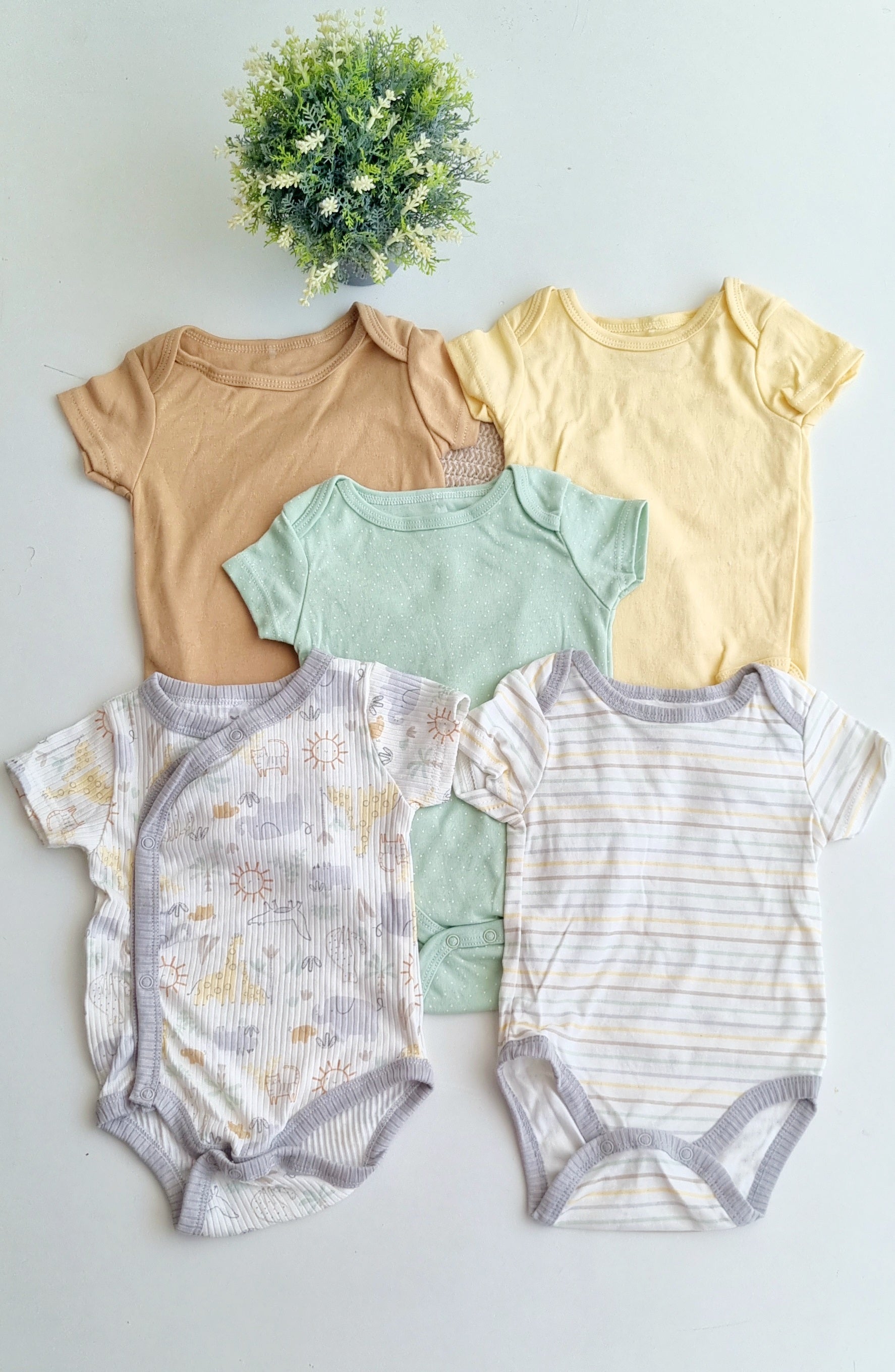 Lot de 5 bodysuits