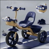 tricycle pour enfants avec siège arrière 806