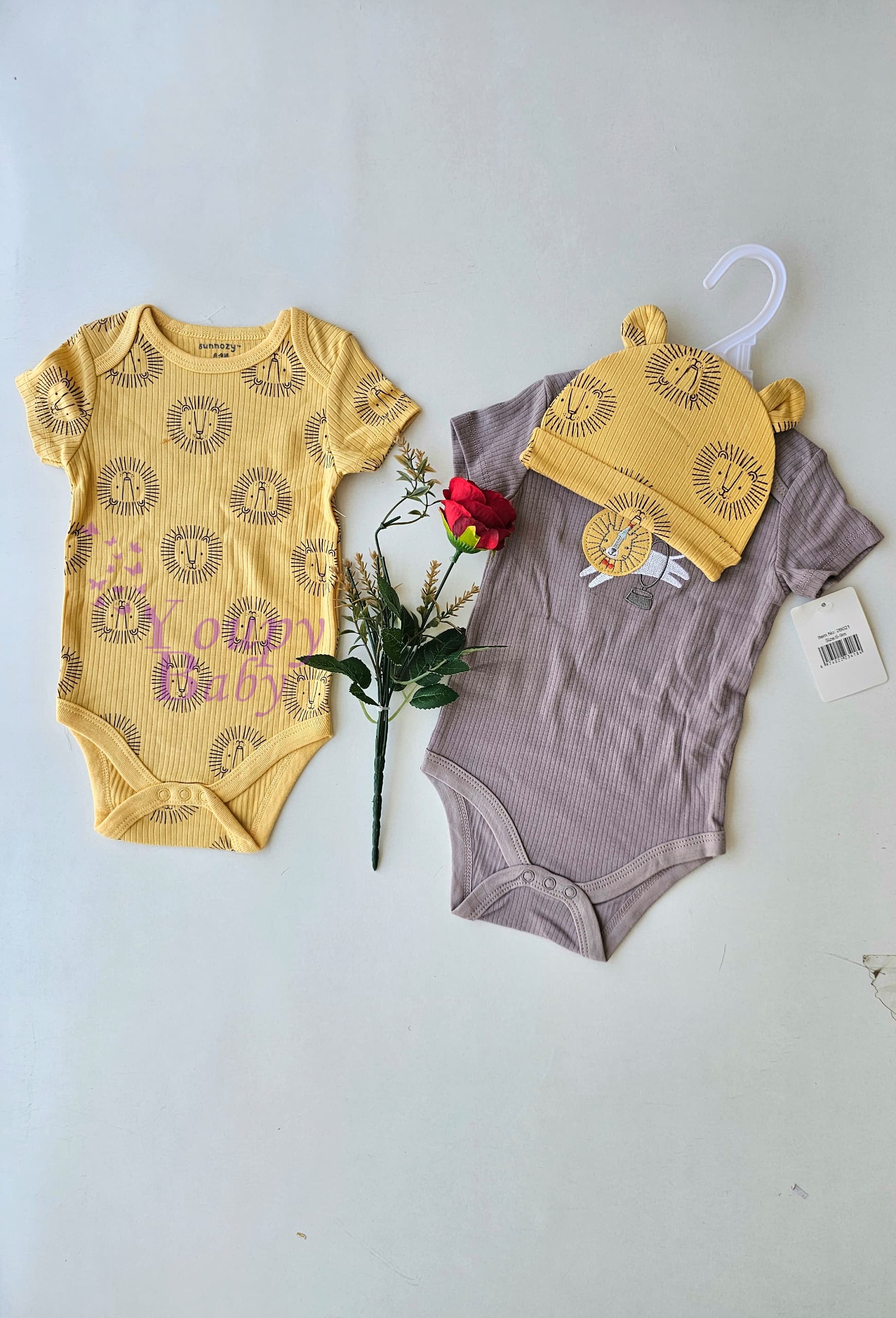 Lot de 2 bodys avec bonnet garçon