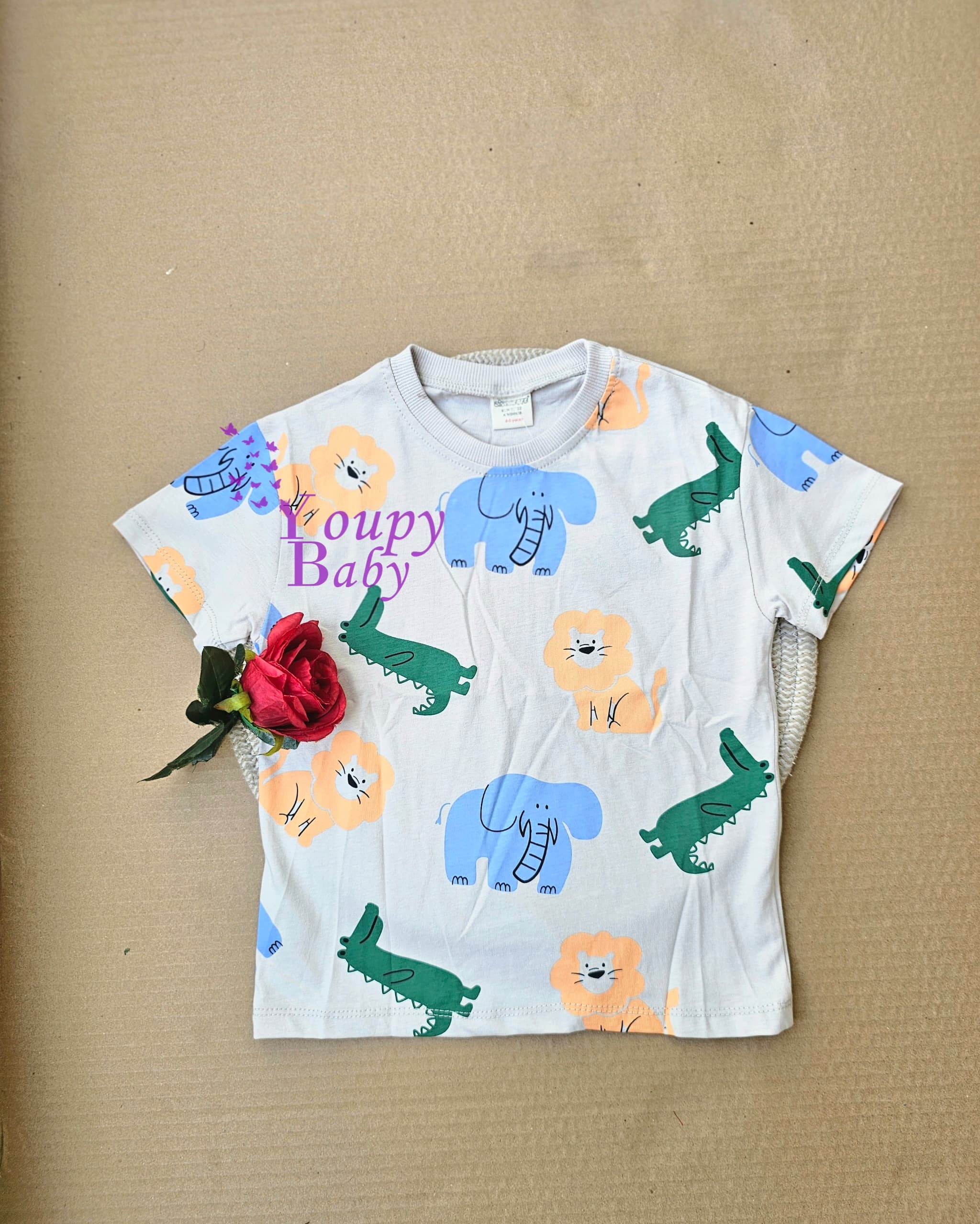 T-shirts garçon